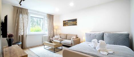 Iron/ironing board, WiFi, bed sheets
