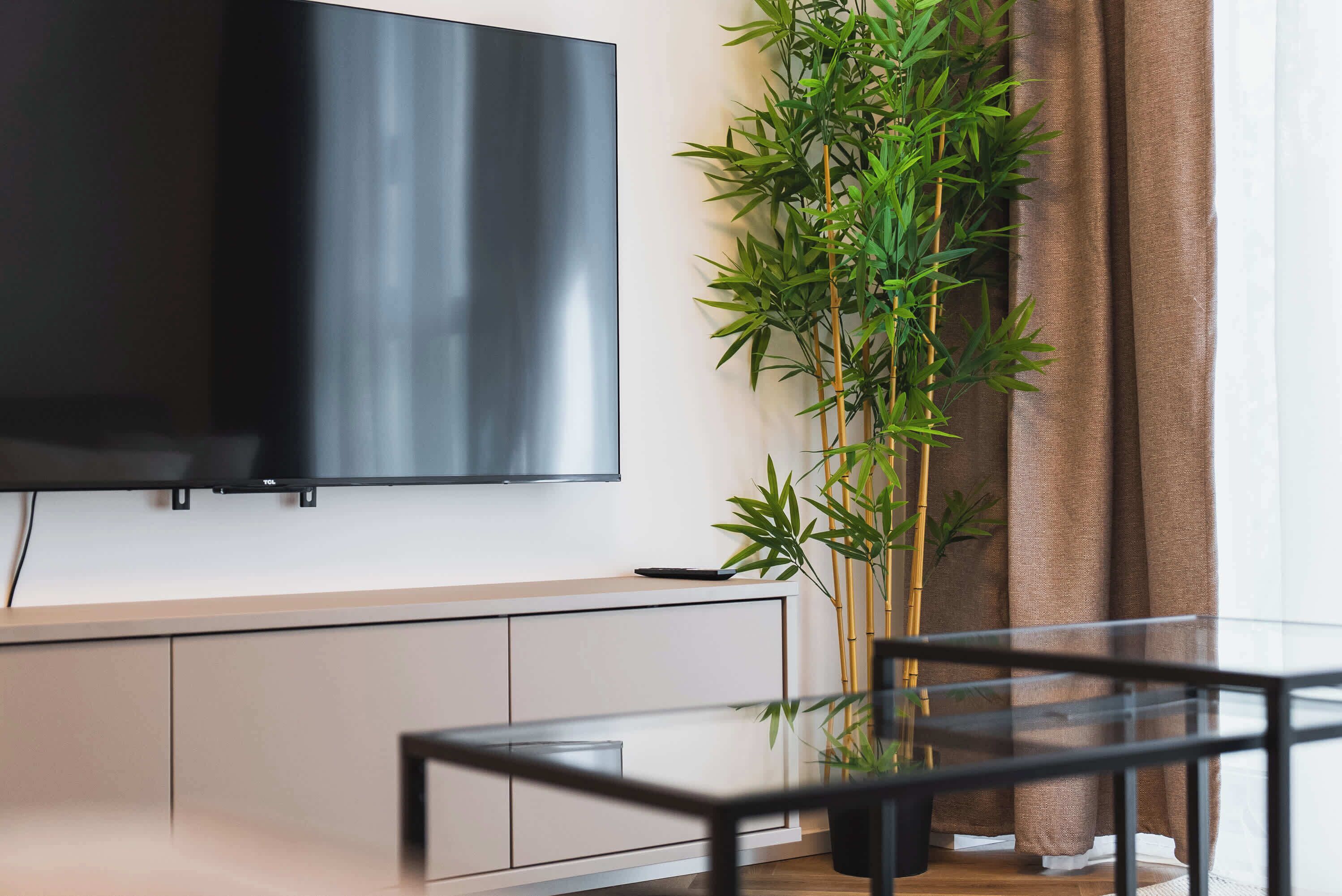 A modern living room with a flat-screen TV mounted on the wall, a glass coffee table, a bamboo plant, and a brown curtain.