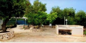 Unclassified image, 3 of 19, button - Trullo Septis: The Authentic Charm of Puglia, Amid Olive Trees, Relaxation, and Tradition (Ostuni)