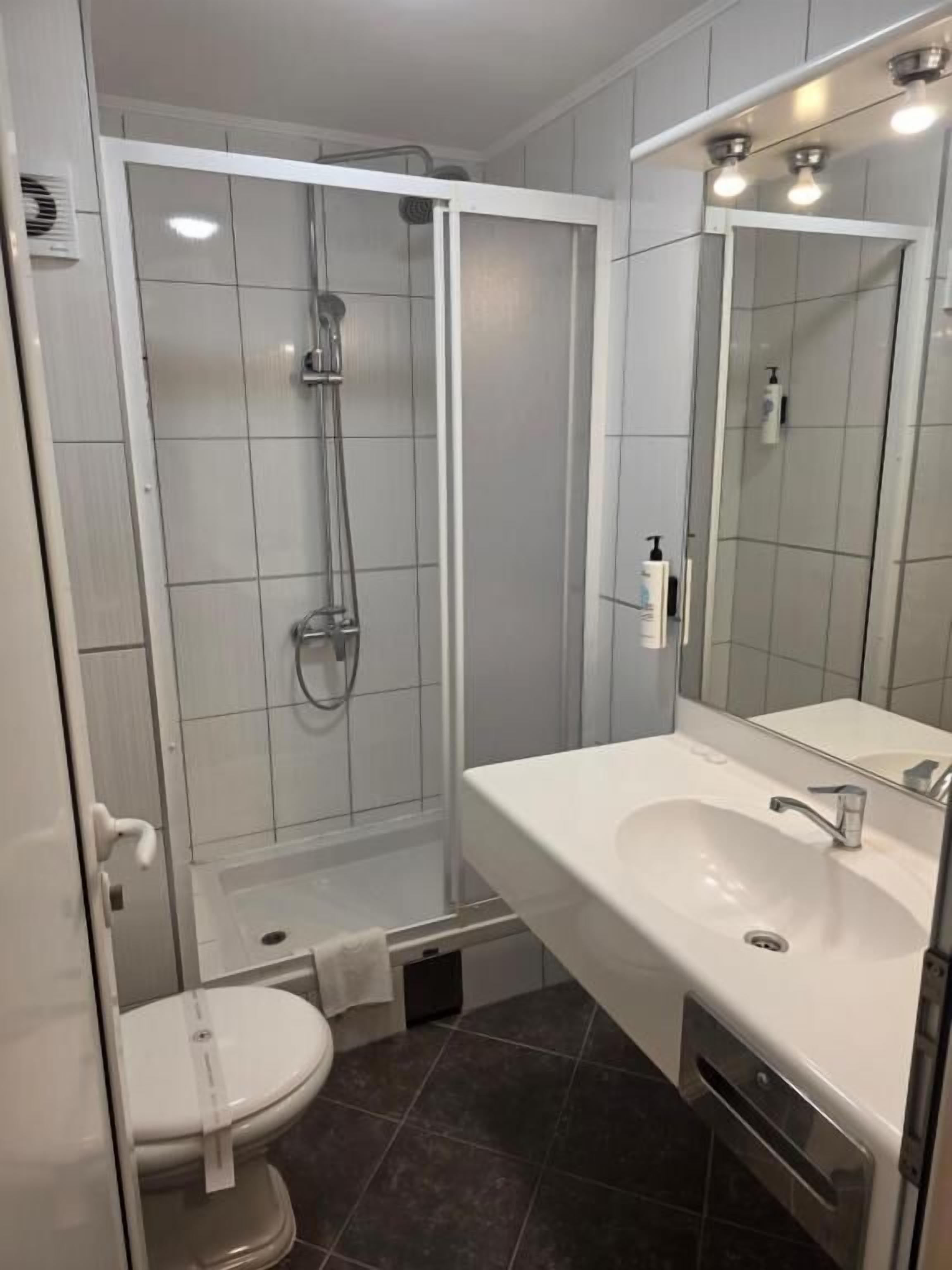 Un baño con ducha, inodoro, lavabo y espejo.