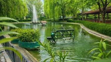 Jardines del alojamiento