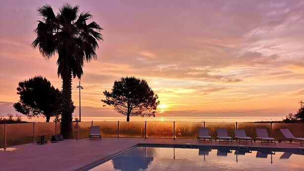 A pool with lounge chairs, palm trees, and a sunset view.