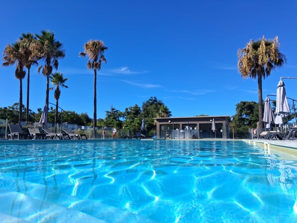 A clear swimming pool with lounge chairs and umbrellas, surrounded by palm trees and a building with a roof.
