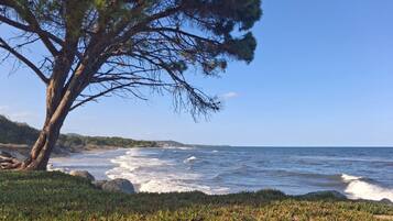 Praia