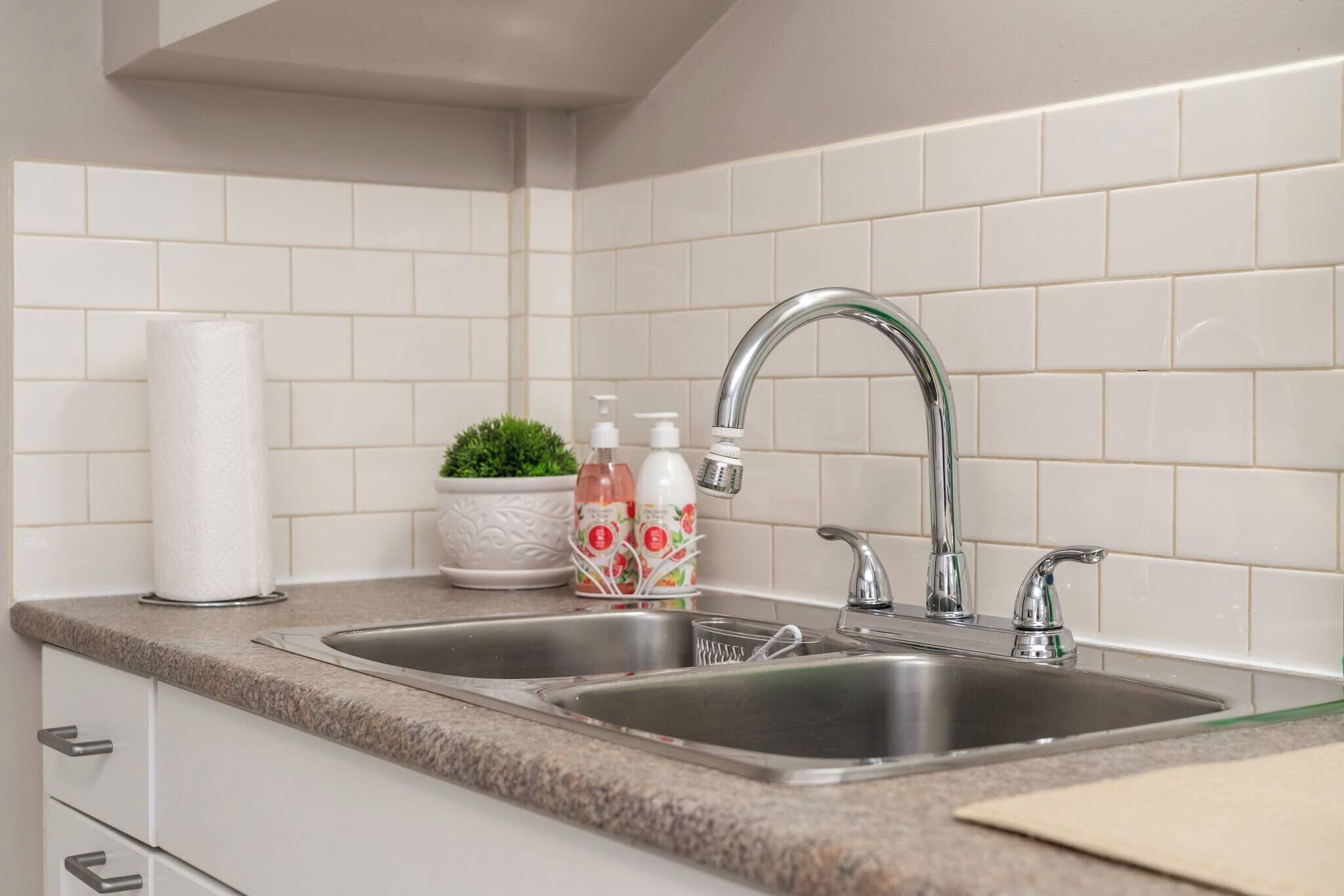 A kitchen with two stainless steel sinks, a white tiled backsplash, a countertop with a paper towel holder, and a small potted plant.