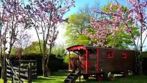 A wooden playhouse with a red roof and windows, a slide, and a gate in a grassy area with cherry blossoms.