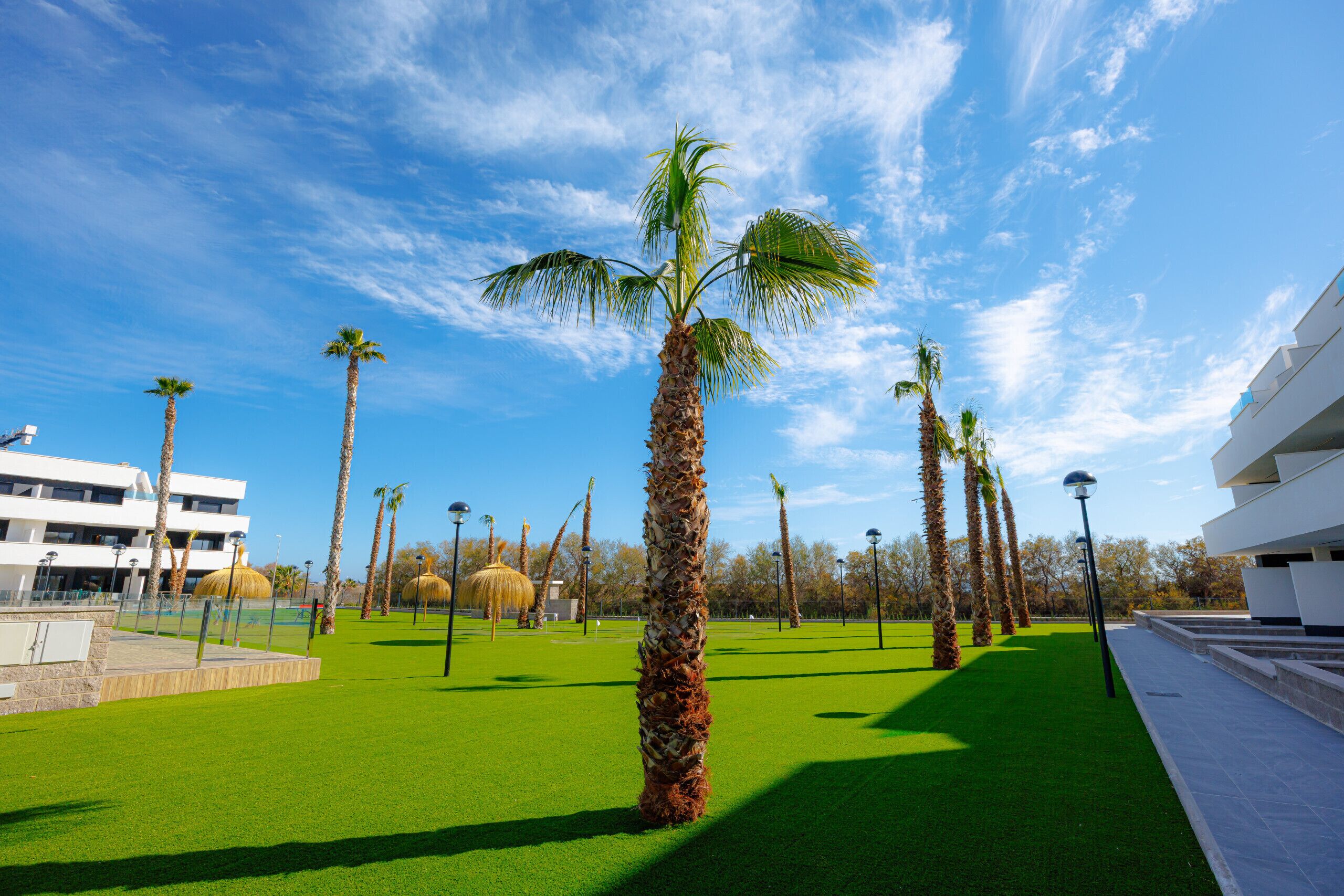 A well-maintained lawn with palm trees, a modern building, and a clear blue sky.