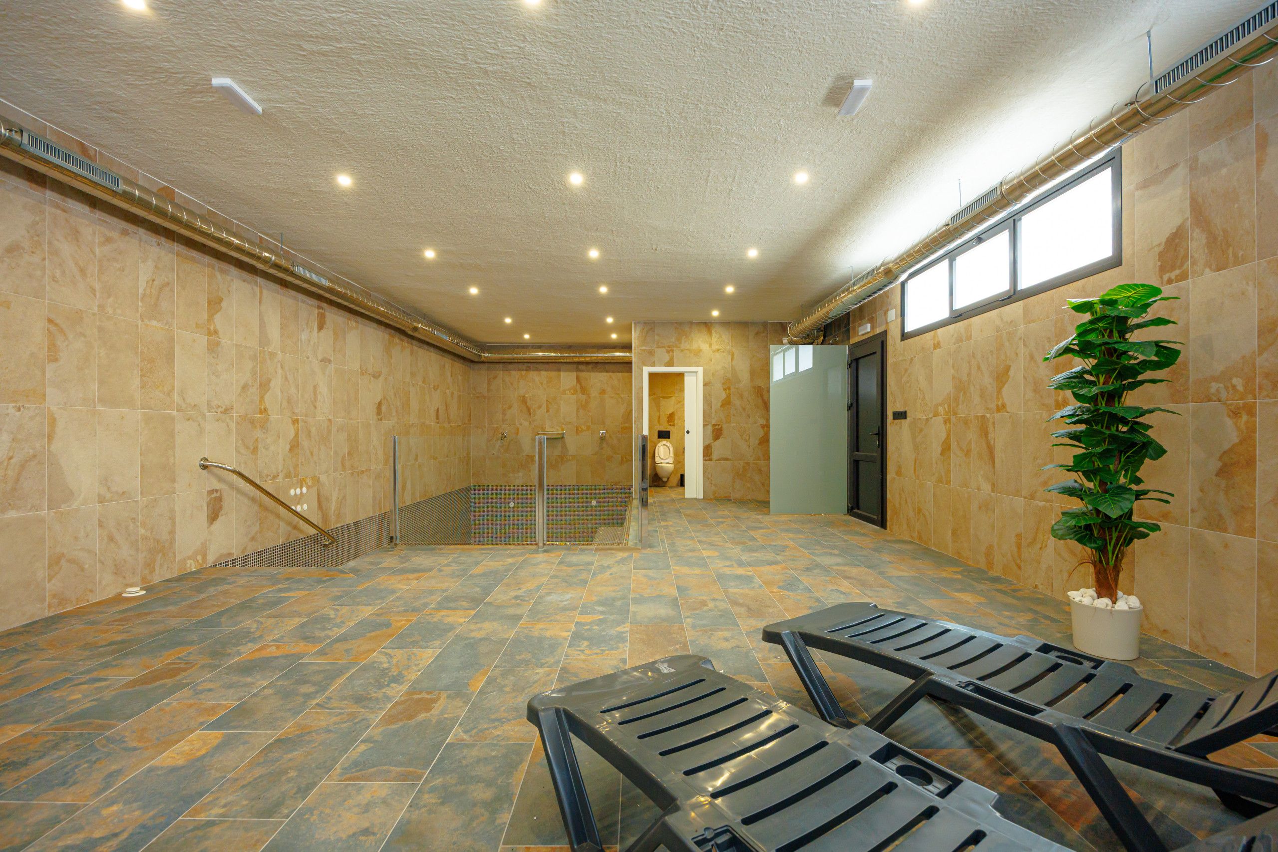 A spa area with a tiled floor, a glass door leading to a shower area, and a potted plant.