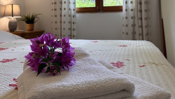 Un letto rifatto con asciugamani bianchi piegati, una pianta in vaso e una finestra con tende.