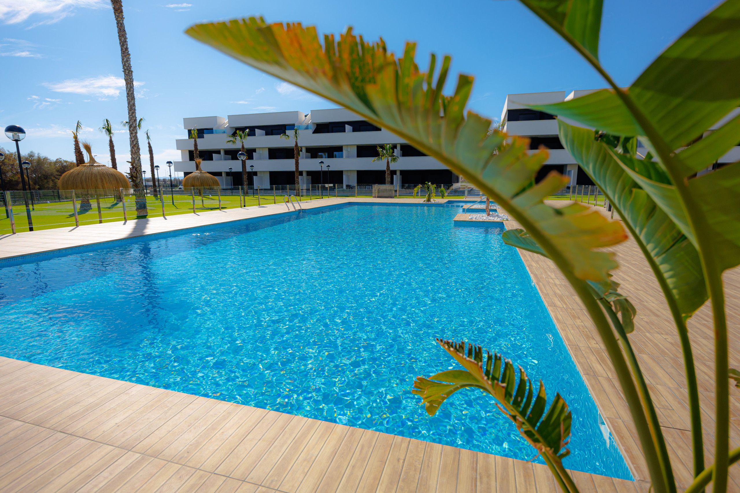 En swimmingpool med flisepyntet solterrasse, omgivet af palmer og en moderne bygning i baggrunden.