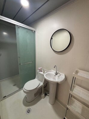 Shower, toilet paper - Affordable Private Studio with Pool in Willemstad Curacao (Willemstad)