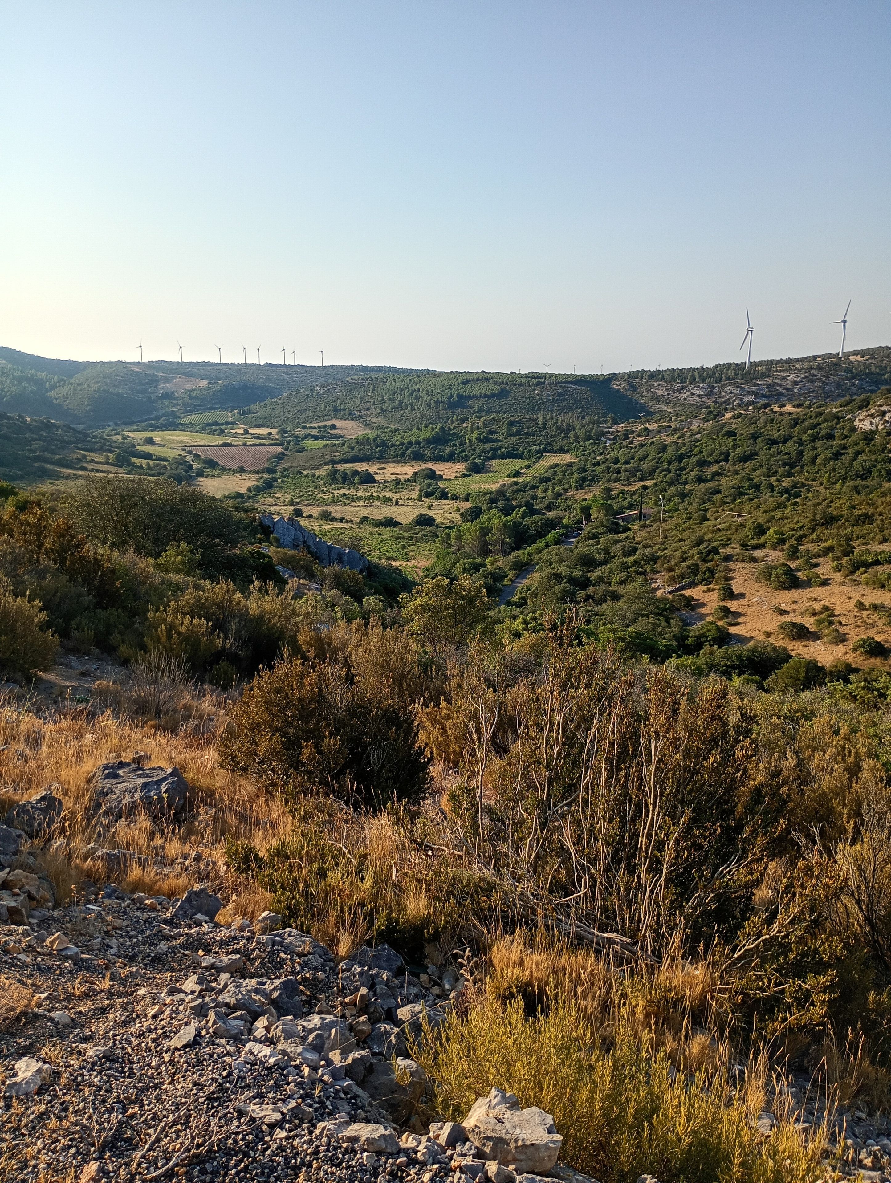 A hilly landscape with wind turbines in the distance.