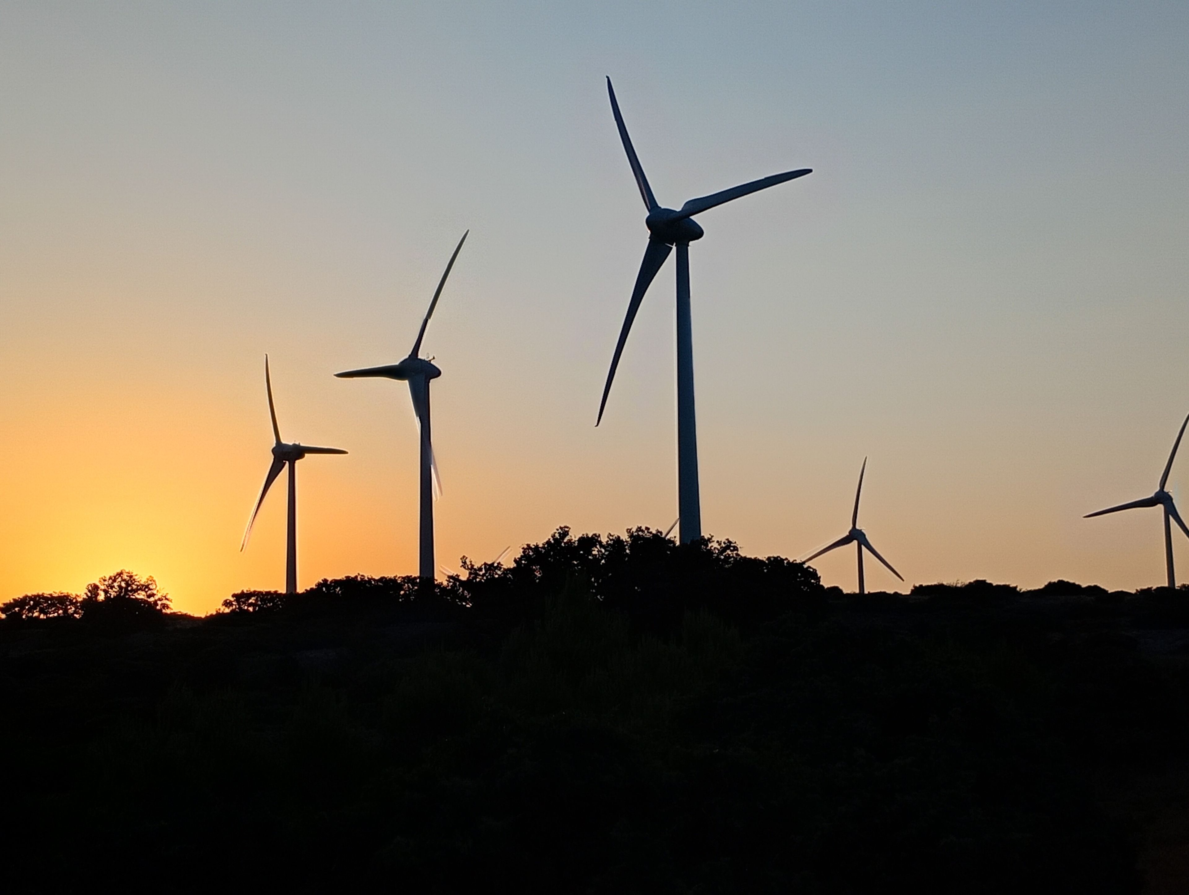 Un paysage avec de nombreuses éoliennes se détachant sur le ciel au coucher du soleil.