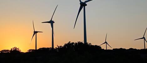 Un paysage avec de nombreuses éoliennes se détachant sur le ciel au coucher du soleil.