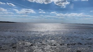 A beach with a clear sky and calm water.