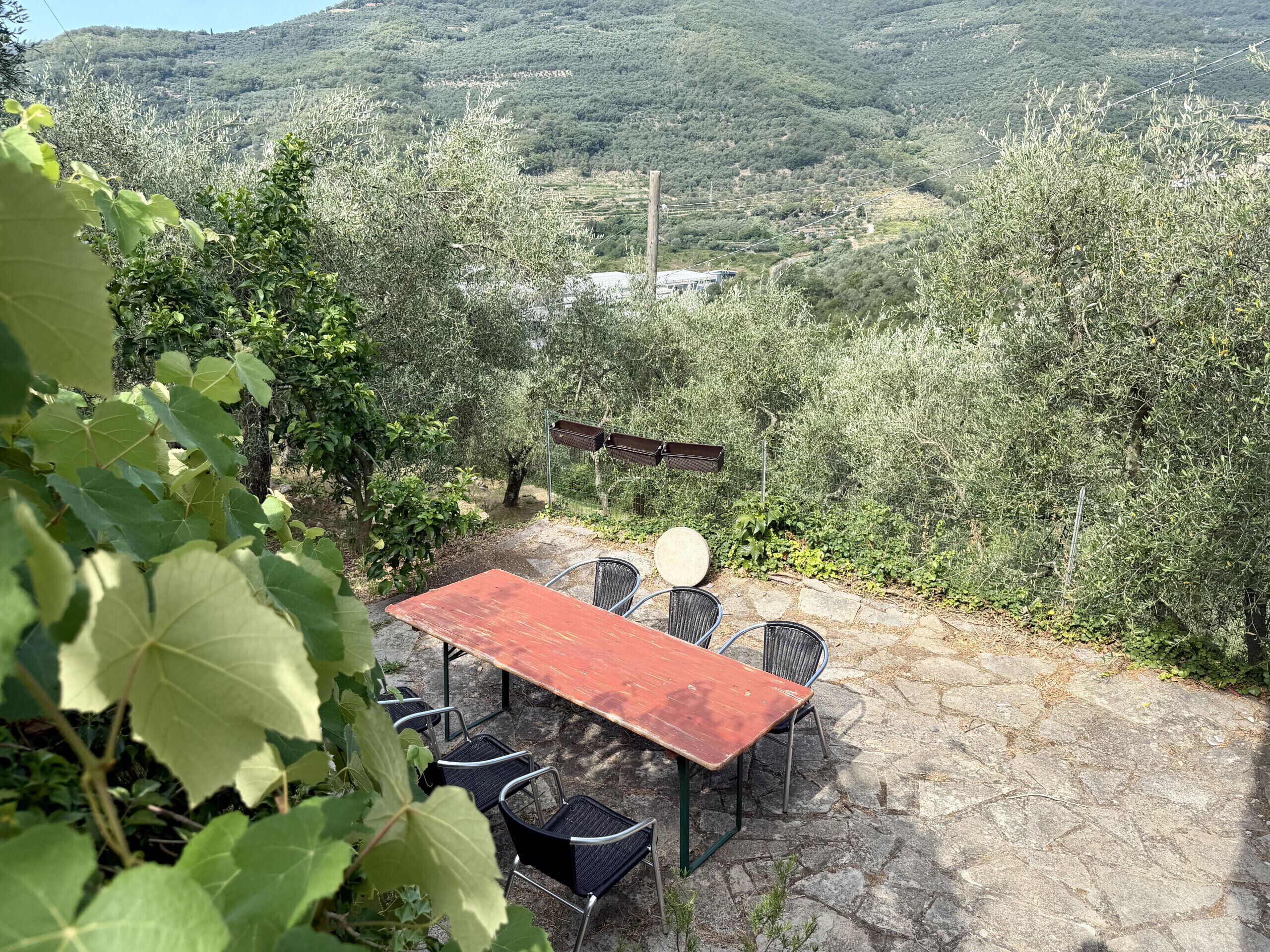 Un patio al aire libre con una mesa y sillas, rodeado de follaje y vistas a un paisaje montañoso.