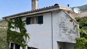 Un bâtiment doté d’une cheminée, d’une antenne parabolique et de murs recouverts de lierre.