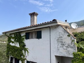 Ein Gebäude mit Schornstein, Satellitenschüssel und einer mit Efeu bewachsenen Fassade.