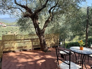 Eine Terrassengruppe im Freien mit Tisch und Stühlen, umgeben von Olivenbäumen und einem Bambuszaun.