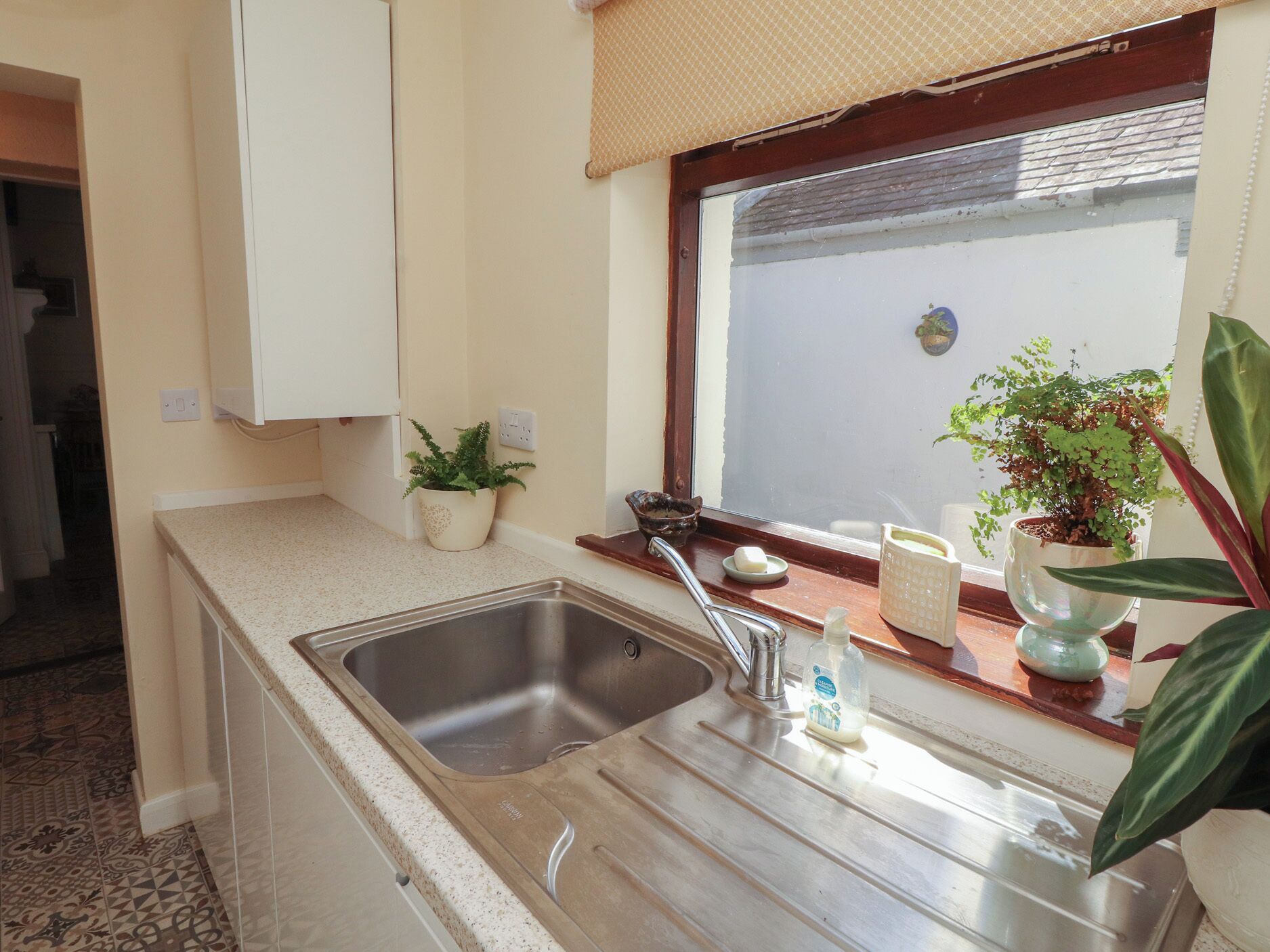 A kitchen with a stainless steel sink, a window with a view, a potted plant, and a small countertop.
