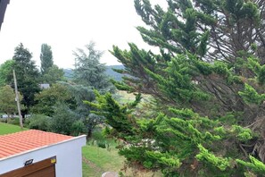 Un quartier résidentiel avec un bâtiment blanc, un toit recouvert de tuiles rouges et un grand arbre à feuilles persistantes.