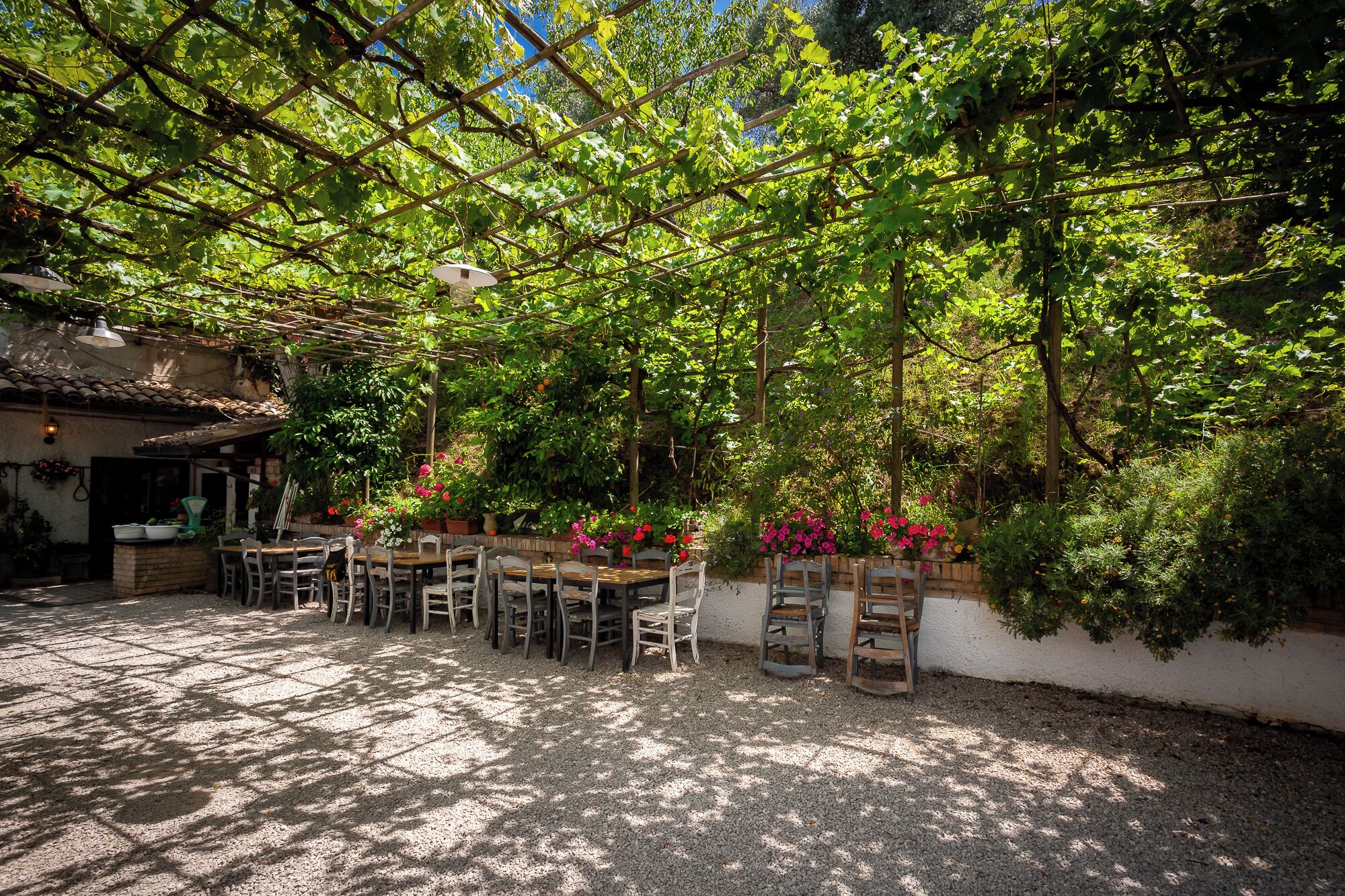 An outdoor patio with tables and chairs, surrounded by greenery and a pergola.
