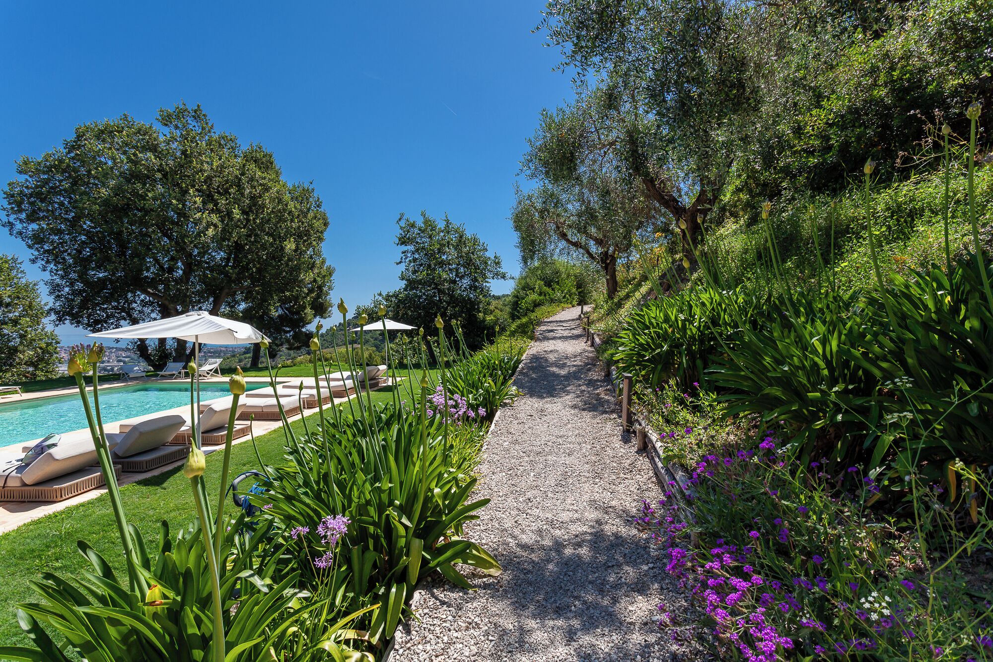 A pathway leading to a pool area with lounge chairs and umbrellas.