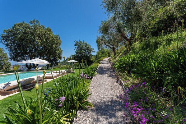 A pathway leading to a pool area with lounge chairs and umbrellas.