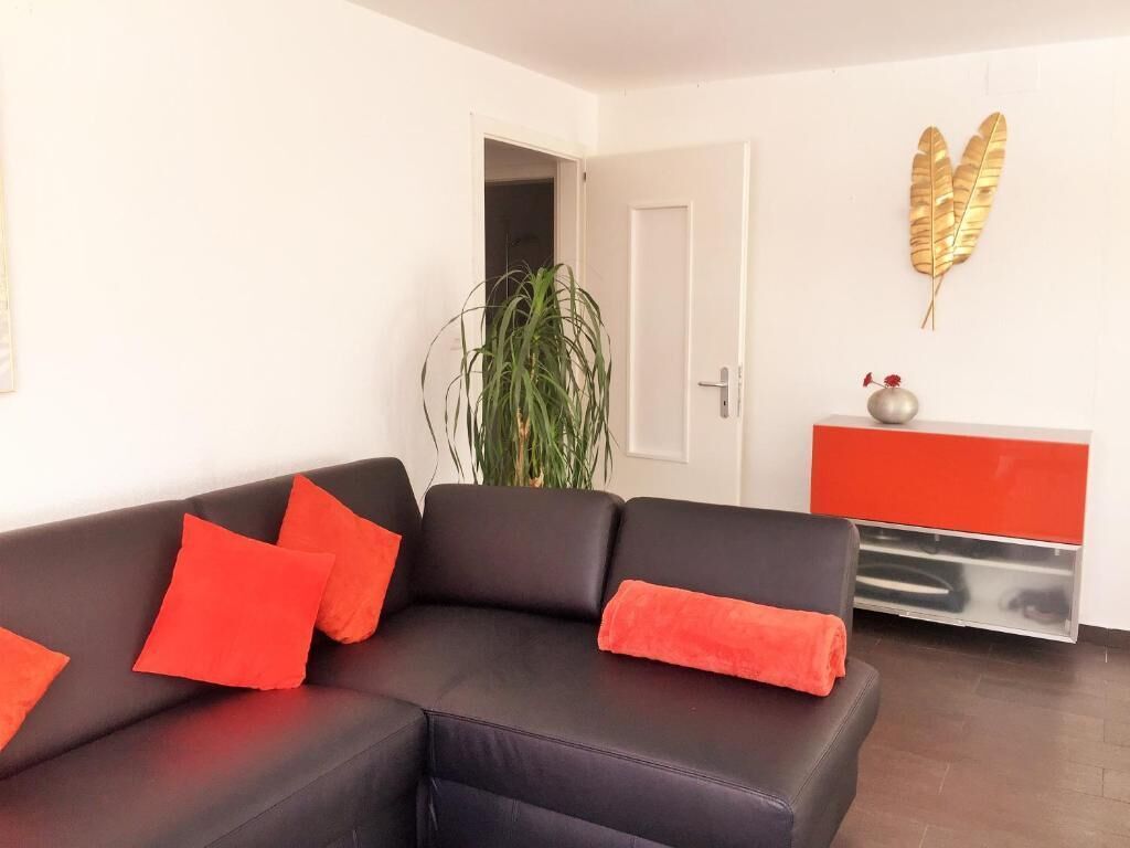 A living room with a black sofa, red cushions, a plant, a red cabinet, and a gold feather decoration on the wall.