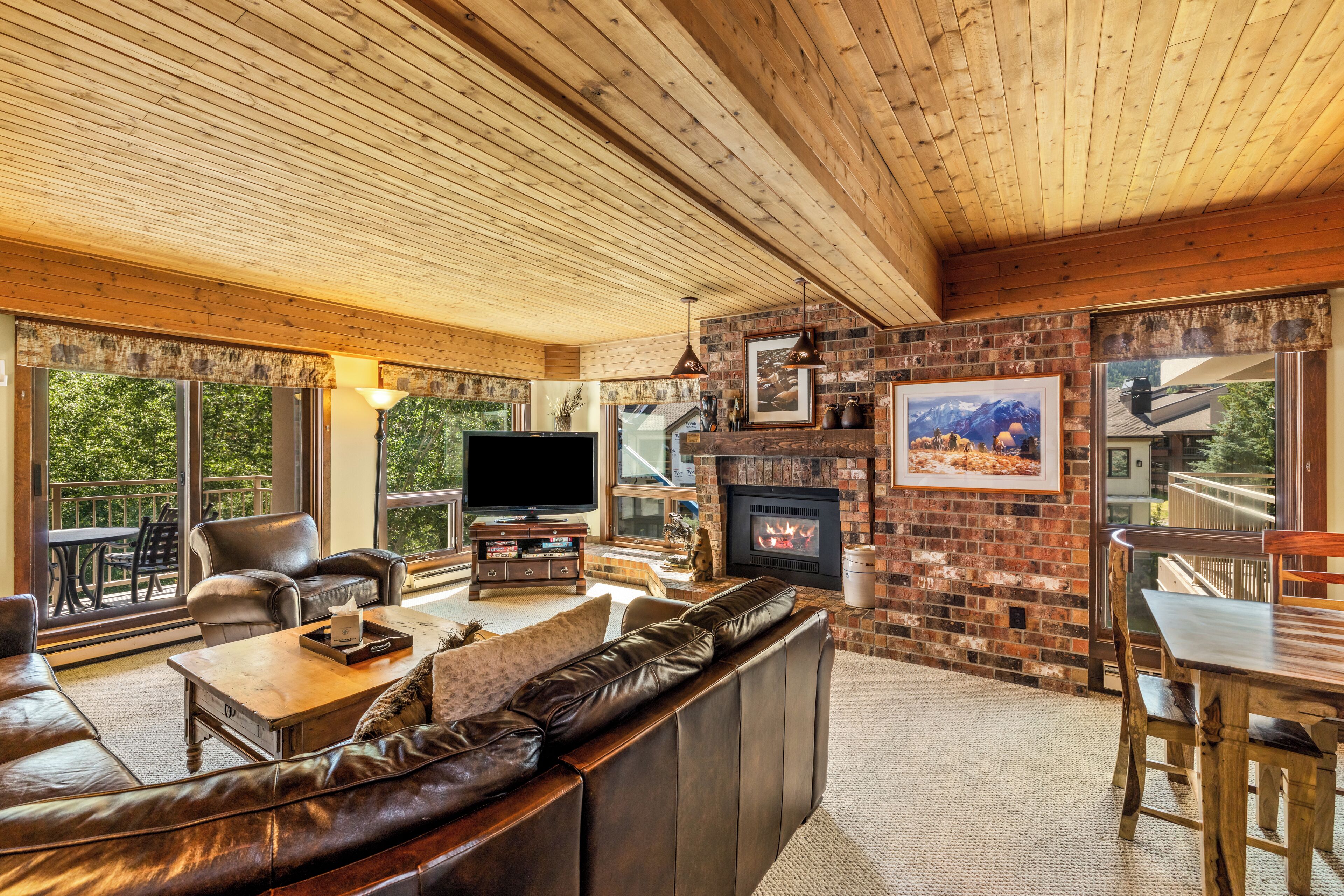 TV, fireplace