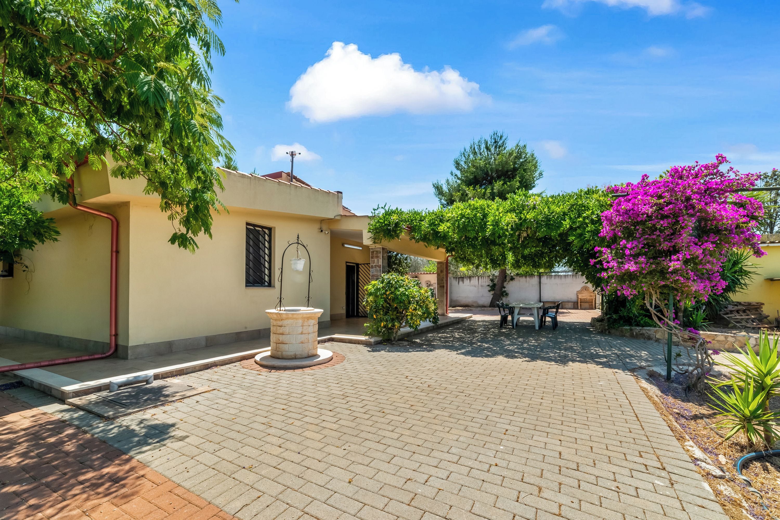 A courtyard with a paved walkway, a stone planter, and a variety of trees and shrubs.