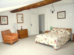 House, Patio, Garden View | Iron/ironing board - Le Manoir de La Foye (Vinax)