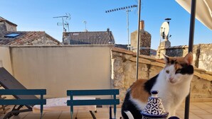 A table with a cup, a teapot, a plate with toast, and a bowl of fruit. - Dupleix and an open-air terrace (Saint-Gilles)