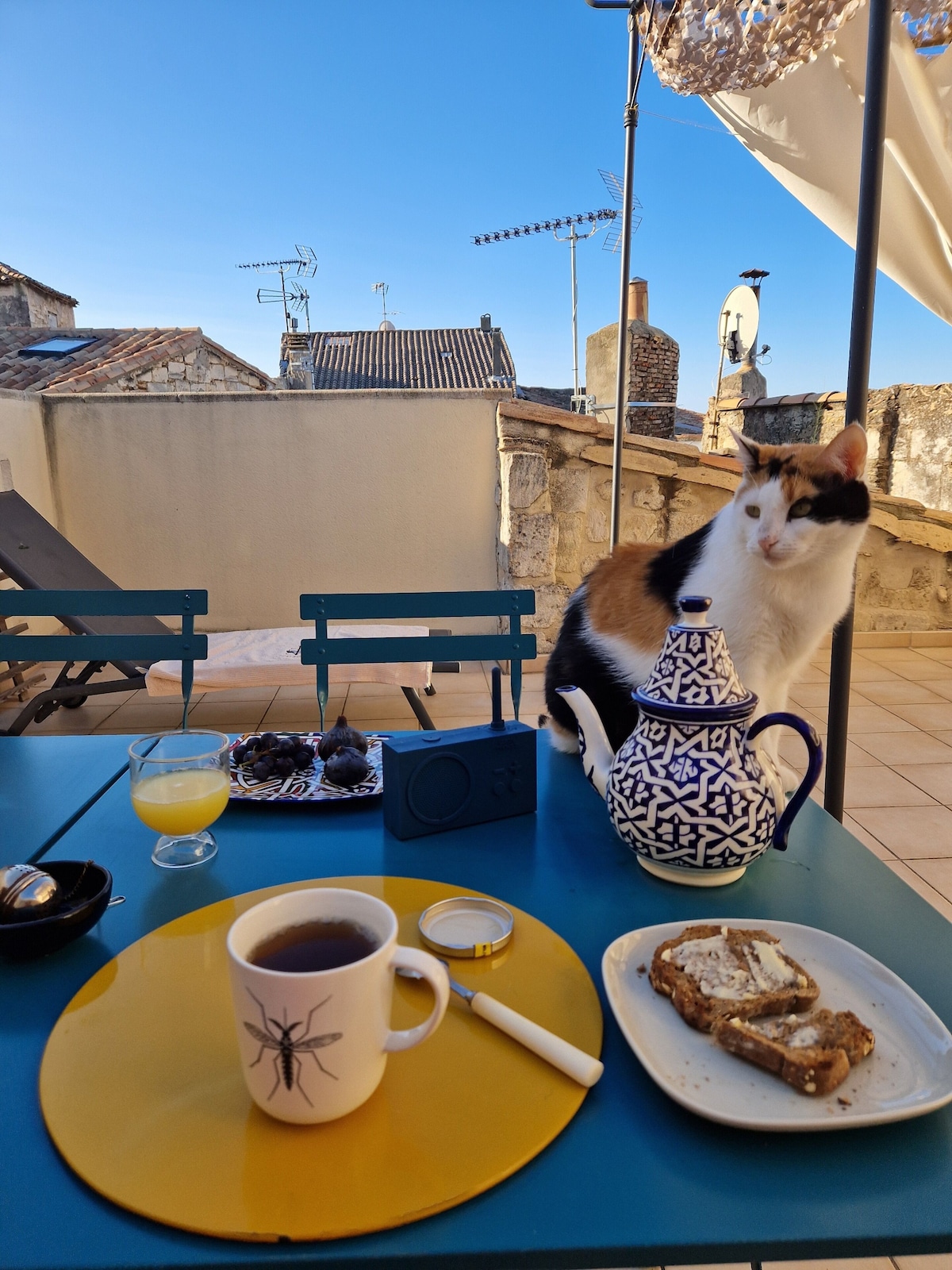 Image de profil de l’hôte