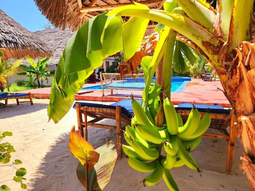 A pool area with lounge chairs, a thatched roof, and banana trees.