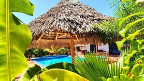 Une construction à toit de chaume dotée d’une piscine et entourée d’une végétation tropicale luxuriante.