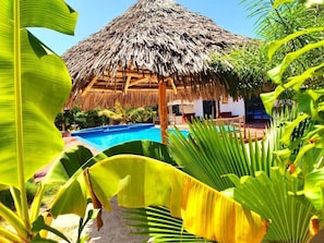 A thatched-roof structure with a pool and lush tropical vegetation. - Mkeka Spice Lodge Jambian (Unguja South Region)