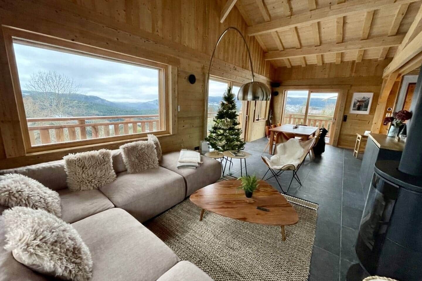 TV, fireplace, books