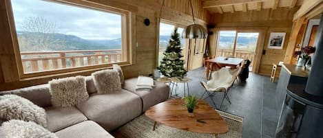TV, fireplace, books