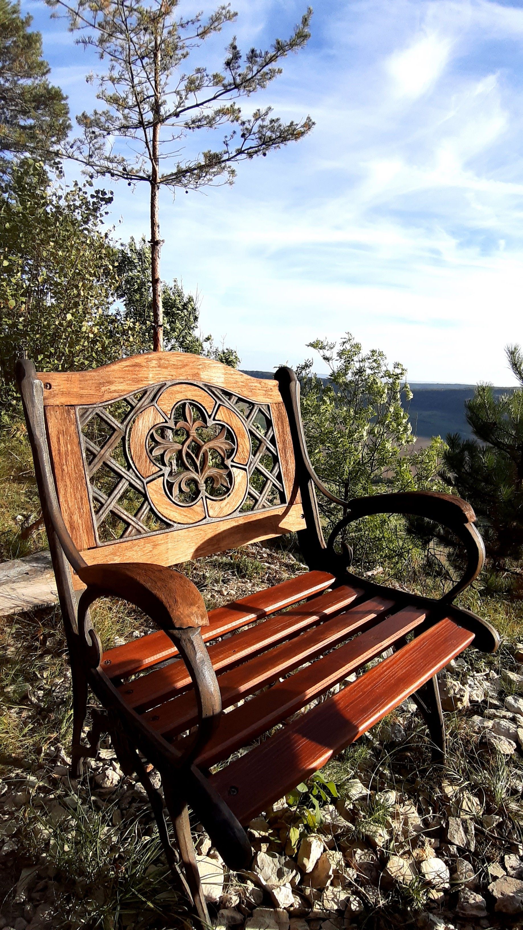 A wooden bench with intricate backrest design, situated outdoors with natural surroundings.