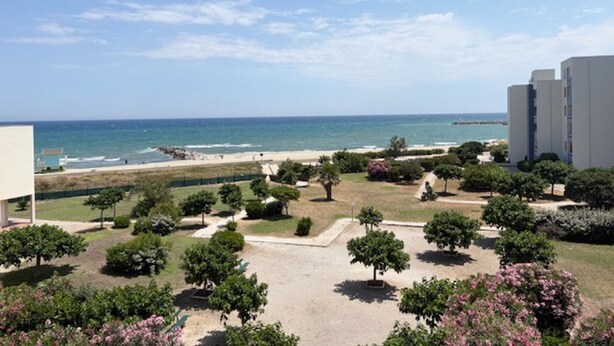 Une vue sur la côte, avec une plage, un ciel dégagé et un ensemble de bâtiments.