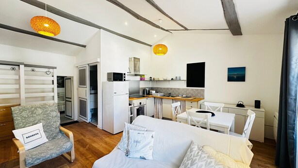 TV - Bright city centre apartment - 3 guests (Fouras)
