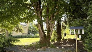 Un jardín con una gallina, un comedero para pájaros y un muro de piedra.