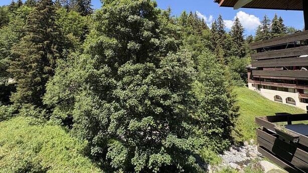 Un edificio con techo inclinado, rodeado de un bosque denso y un cielo despejado.