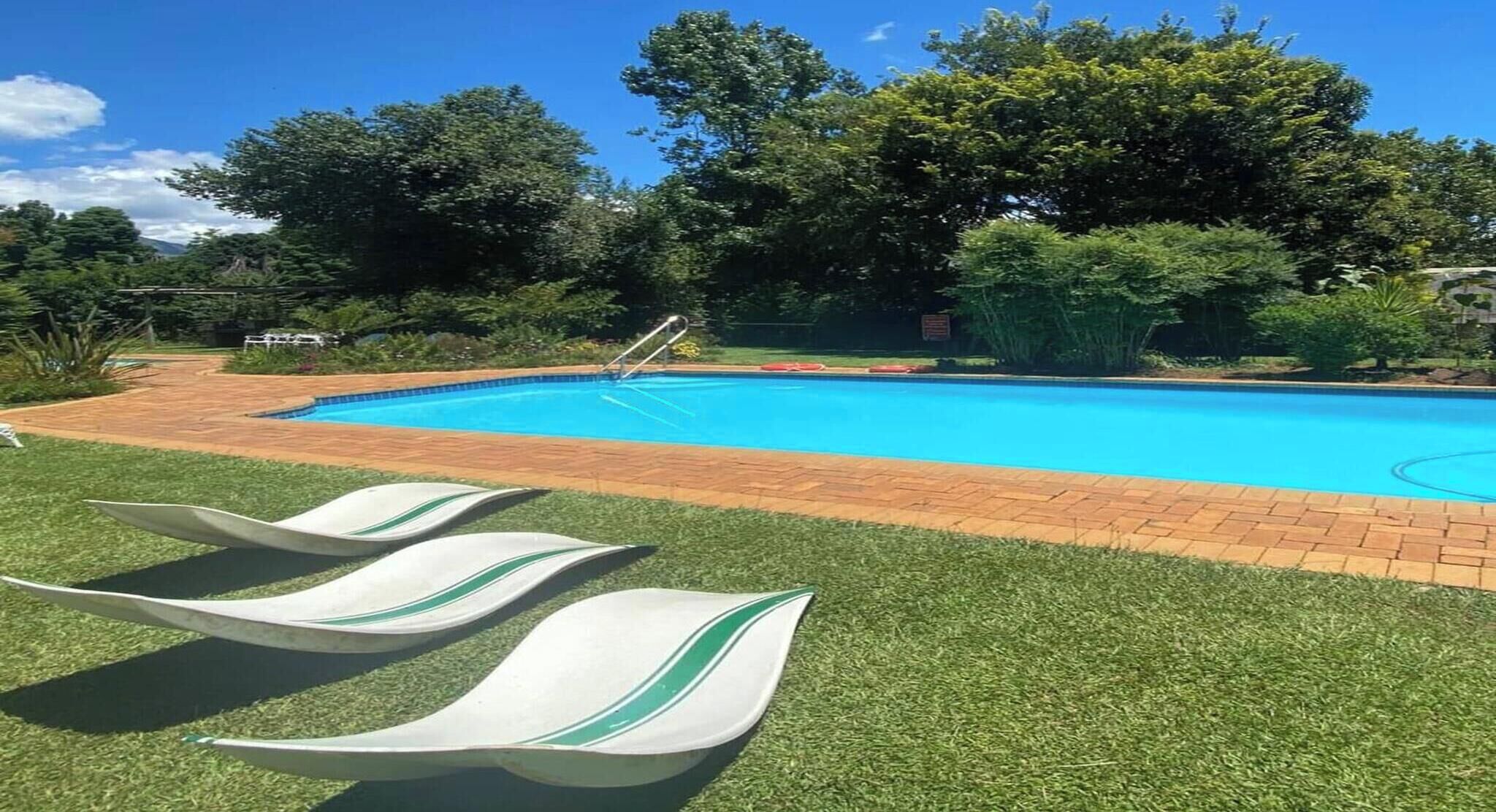 A swimming pool with a brick border, surrounded by grass and trees.