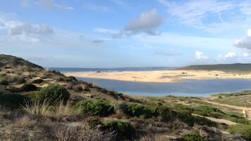 Un paisaje costero con playa, dunas y una masa de agua.