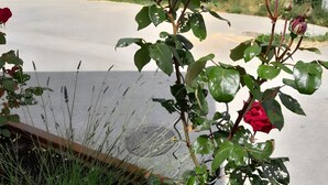 Un jardín con rosas rojas, un área pavimentada y vistas a colinas distantes.