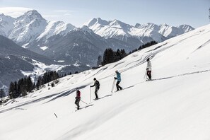 Snow and ski sports - Plavna Serviced Apartment #910 Nord West (Scuol)