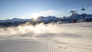 Sneeuw- en skisporten