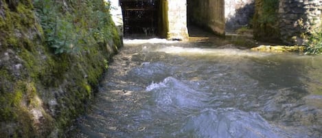 A narrow waterway under a bridge with stone walls and moss-covered vegetation.
